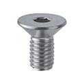 Hex Socket Flat Head Cap Screws