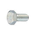 Hex Screws