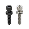 Screws with Captured Washer