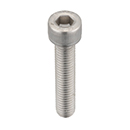 Screw bolt