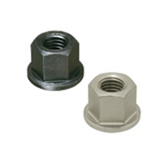 Flange Nut (Flat Type)