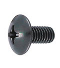 Cross Recessed Truss Screw