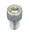 Plated Hex Socket Head Bolt